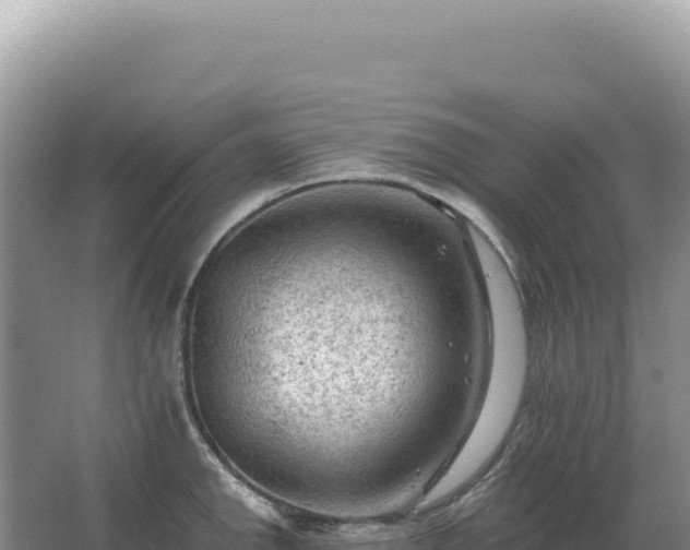 X0000067511142200604150127