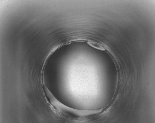 X0000067511145200604150127