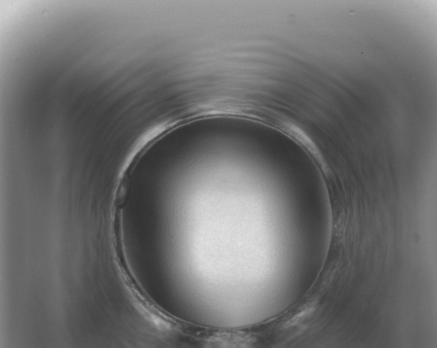 X0000067511146200604150127