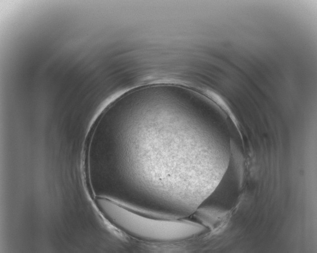 X0000067511149200604150127