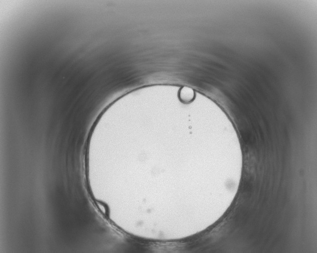 X0000067511150200604150127