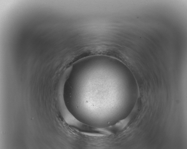 X0000067511153200604150126