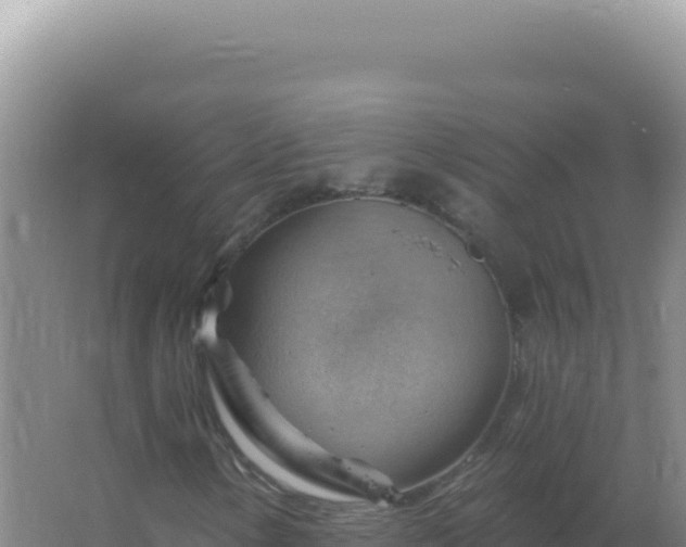 X0000067511154200604150126