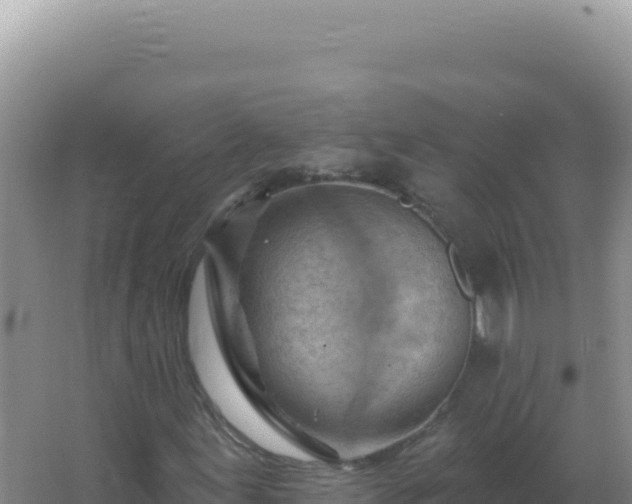 X0000067511155200604150126