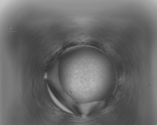 X0000067511156200604150126