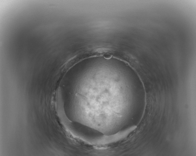 X0000067511158200604150126