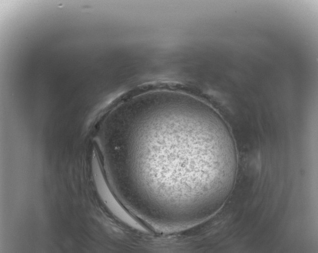 X0000067511159200604150126