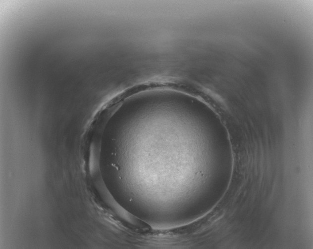 X0000067511160200604150126