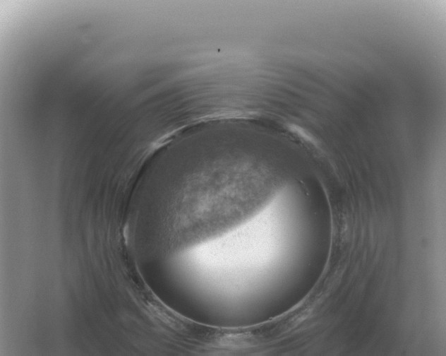 X0000067511161200604150126