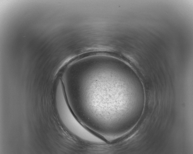 X0000067511163200604150126