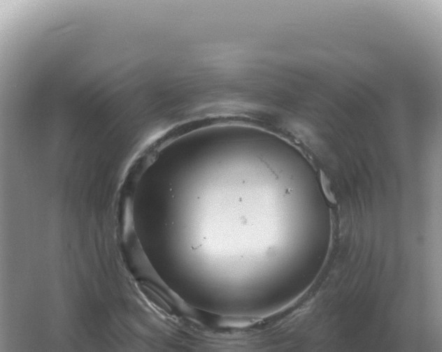 X0000067511164200604150126