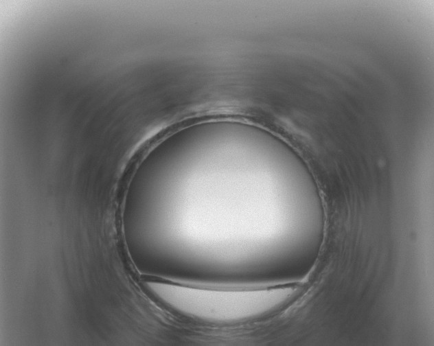 X0000067511166200604150126