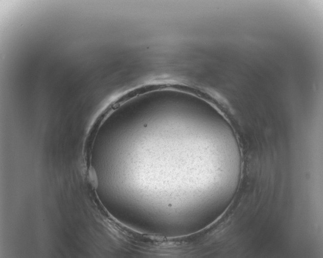 X0000067511167200604150126