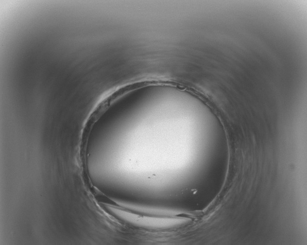 X0000067511168200604150126