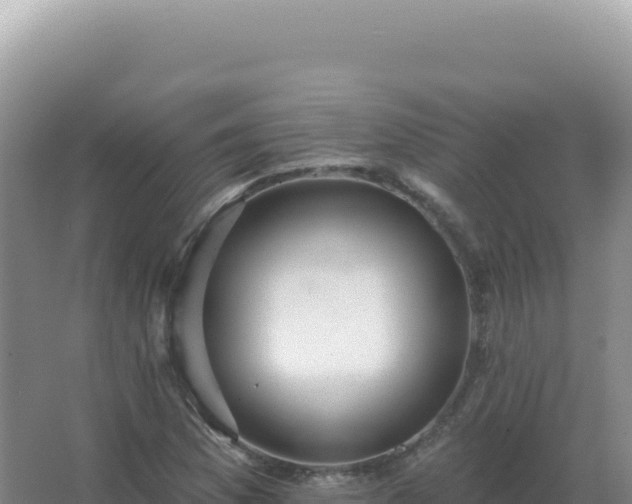 X0000067511169200604150126