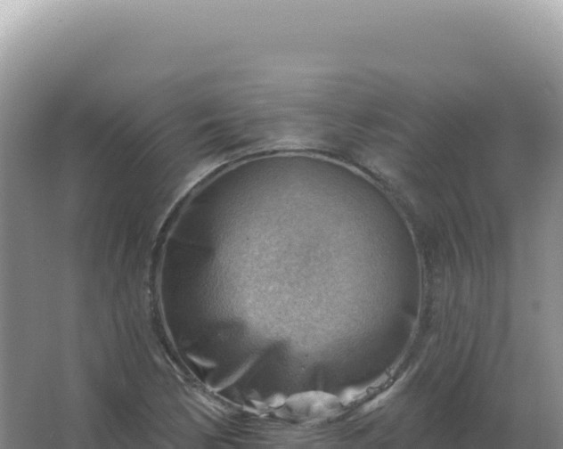 X0000067511170200604150126