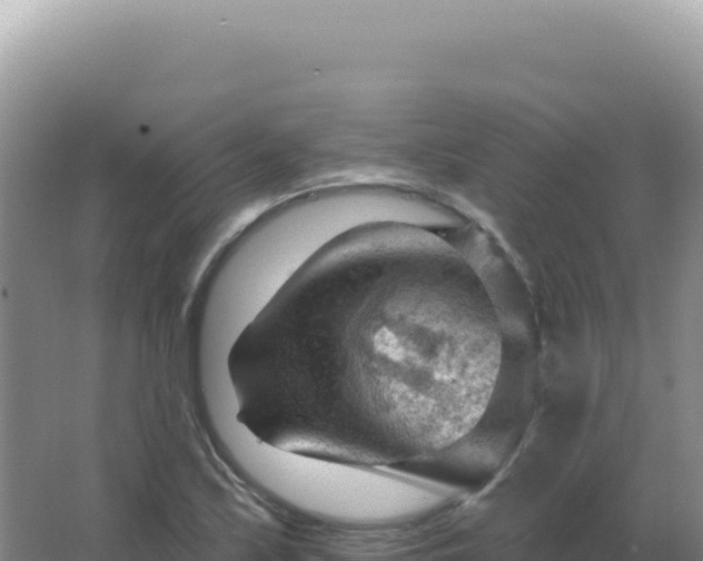 X0000067511171200604150126