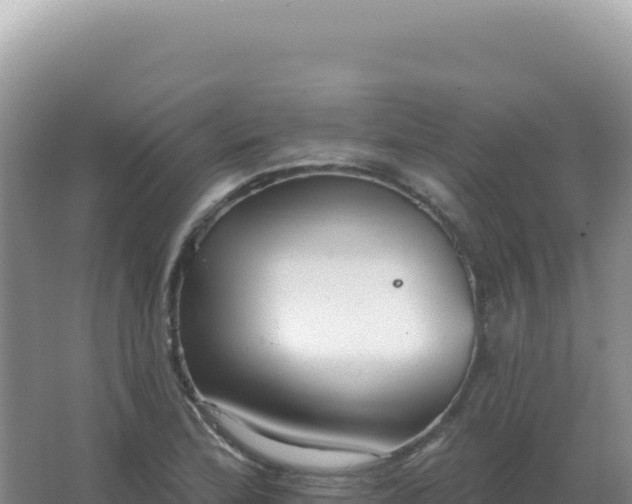 X0000067511172200604150126