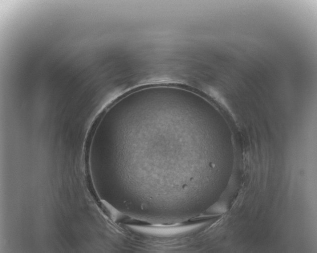 X0000067511173200604150126