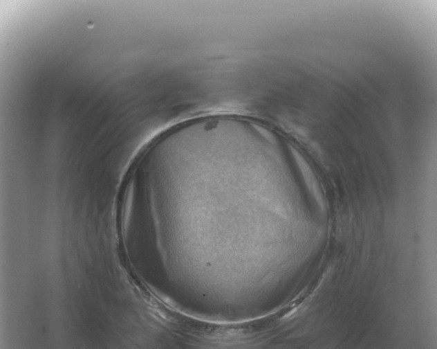 X0000067511174200604150126