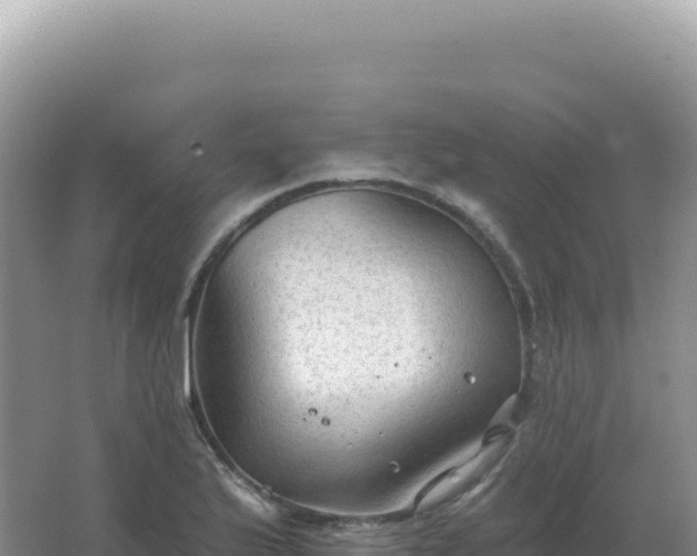 X0000067511175200604150126