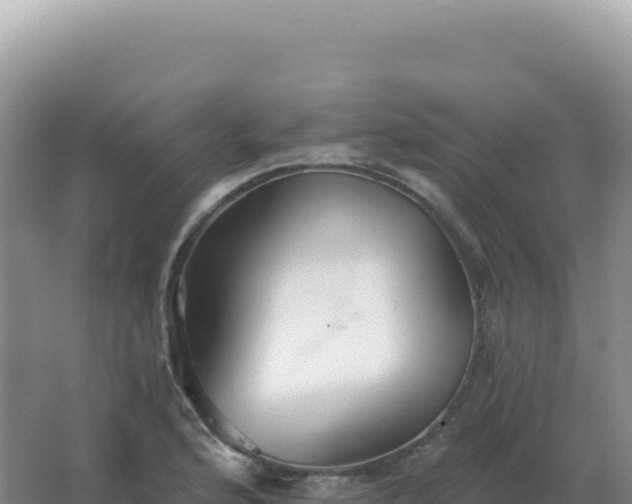 X0000067511176200604150126