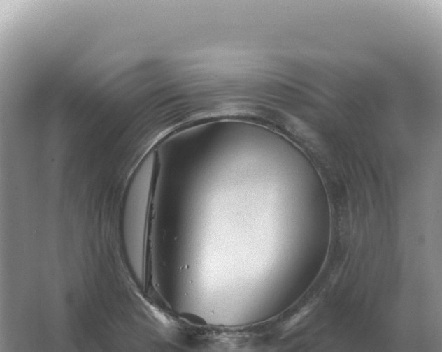 X0000067511177200604150126