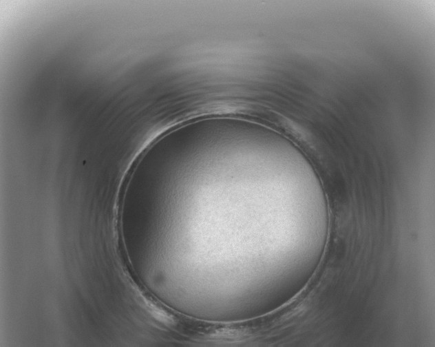 X0000067511178200604150126