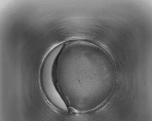 X0000067511179200604150126