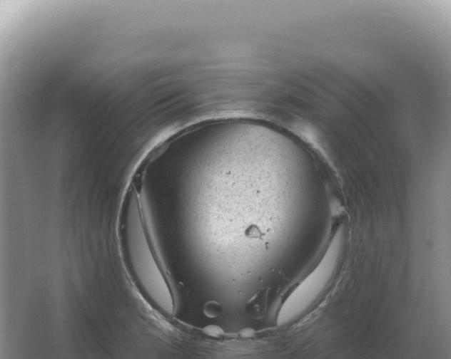 X0000067511181200604150125