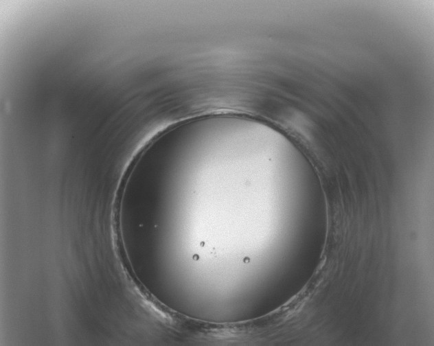 X0000067511182200604150125