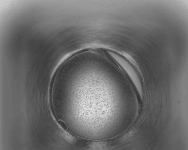 X0000067511183200604150125