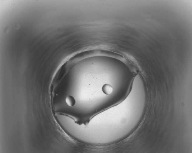 X0000067511184200604150125