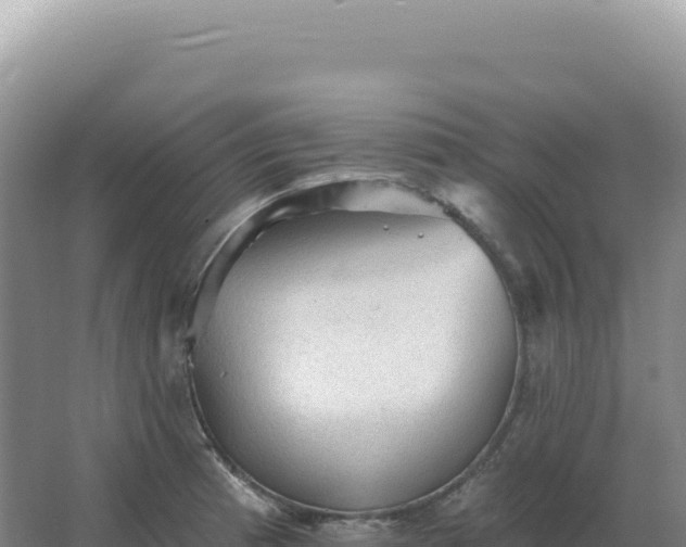 X0000067511185200604150125