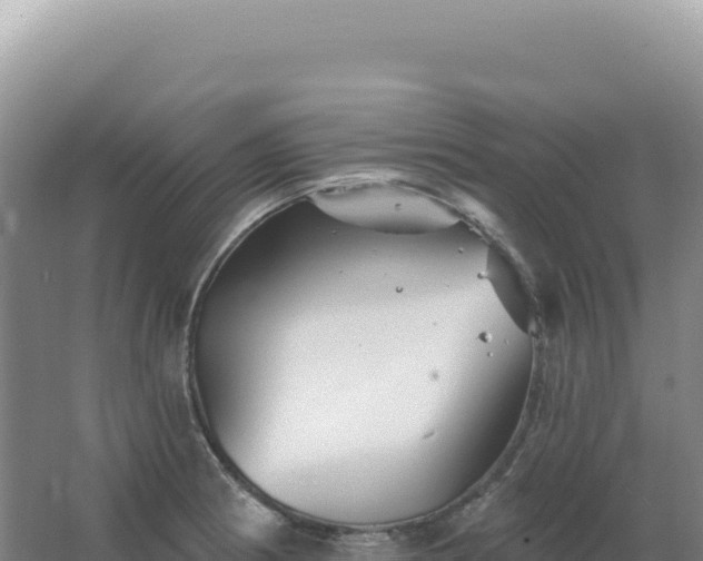 X0000067511186200604150125