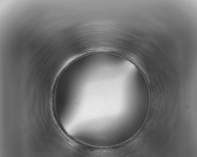 X0000067511187200604150125