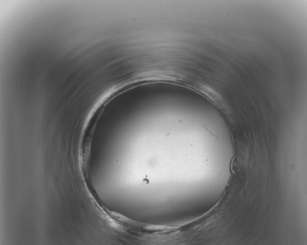 X0000067511188200604150125