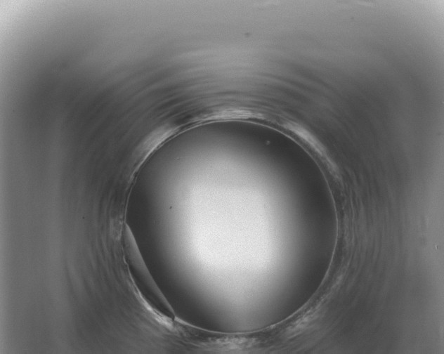 X0000067511193200604150125