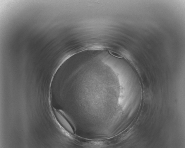 X0000067511194200604150125