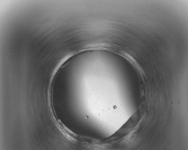 X0000067511196200604150125