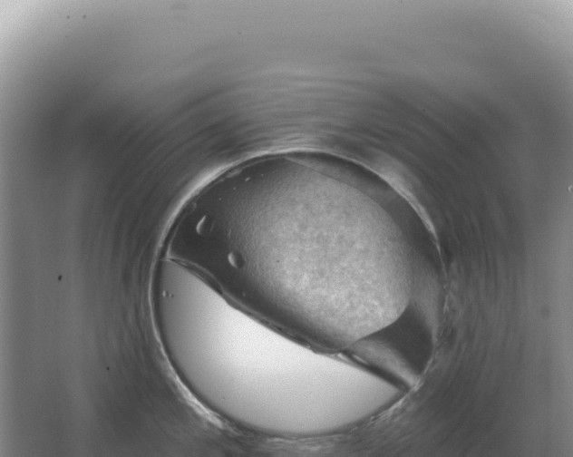 X0000067511197200604150125