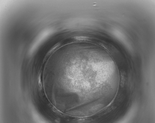 X0000067511198200604150125