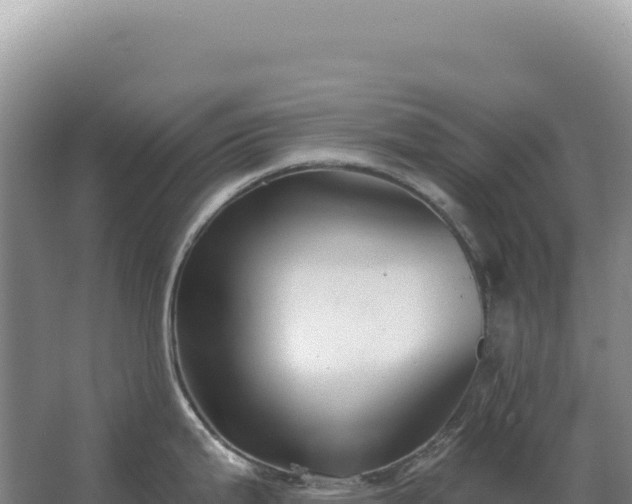 X0000067511199200604150125