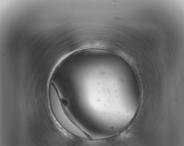 X0000067511200200604150125