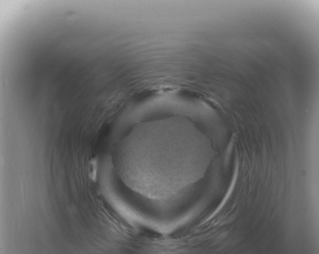 X0000067511202200604150124