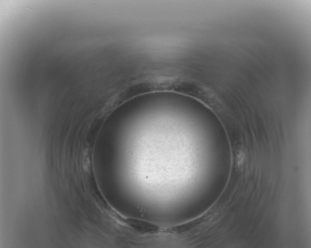 X0000067511204200604150124