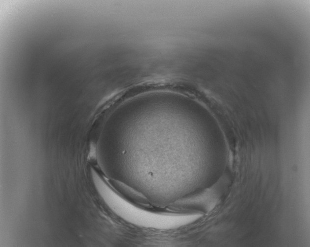 X0000067511206200604150124