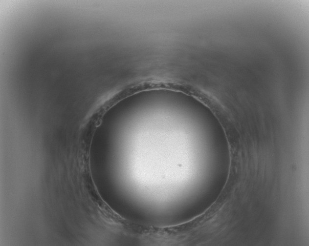 X0000067511207200604150124