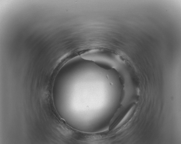 X0000067511210200604150125