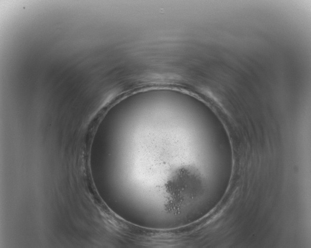 X0000067511211200604150125